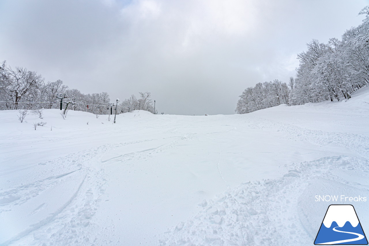 かもい岳国際スキー場｜今季の降雪量は、道内トップクラス！クリスマスイブのレポートは、積雪たっぷりの『かもい岳』(^^)v